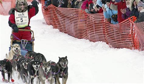 As snow fails to fall on North Shore, organizers cancel John Beargrease Sled Dog Marathon